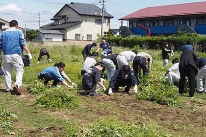 草地で行う清掃・環境保全活動の様子